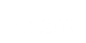 De-Twentse-Zorgcentra-1